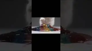 The Most Beautiful Mess You'll Ever See | Cat vs. Candy Floor