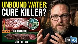 What is Water Activity, and how does it relate to meat curing?