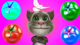 Talking Tom Billu 4 Colour Tomato Funny 😻 Comedy Video 😂 @BilluComedy