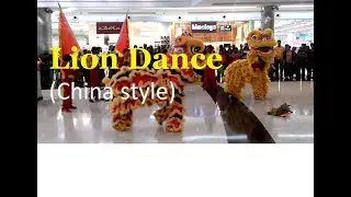 Lion Dance-China style, live performance in Kolkata