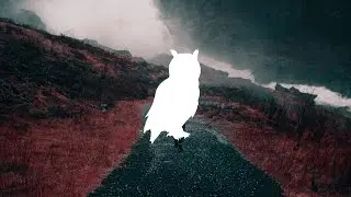 HANDS & Tim Schaufert - Echo