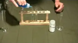 Benedict Test Reducing Sugars