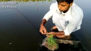 Beautiful view of mala fishing,মলা মাছ ধরার সুন্দর দৃশ্য