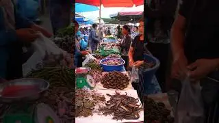 Traditional Asian Market Atmosphere &mdash; Unique and Busy Extreme Animal Selling Women.@syarwani-ai
