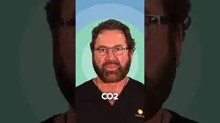 How long does CO2 laser resurfacing take to heal?