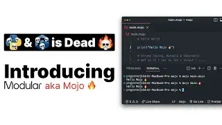 Mojo Programming Language: Python Power, C++ Speed