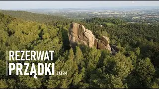 REZERWAT PRZĄDKI LATEM. CZYLI DOBRE OŚWIETLENIE ROBI SWOJE.
