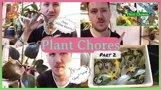 Plantchores Day! 🌿 | Part 2 | Je COUPE mes PRÉCIEUSES! ✂️🪴