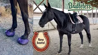 Mia gets horse boots! 🐴 🥾 | Riding without a bridle 😧