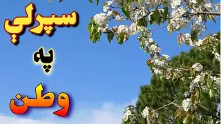 Sparly Pa Watan Tor ghar سپرلے او تورغر 2025 #torghar #naturephotography #torghartv  #pashtosong