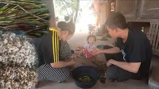 แกงหน่อไม้ใส่ไข่มดแดง