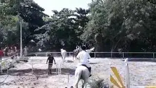 ENCERRAMENTO DO RANKING 2017 ( parte 1 ) - Ana Beatriz Paz&oacute;
