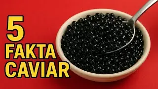 5 Facts About Caviar | The World's Most Expensive Fish Eggs!