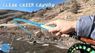 REWARDING Day Winter Fly Fishing in GOLDEN COLORADO | WWS S1E2