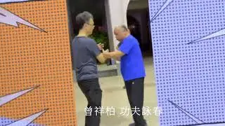 Wing Chun ~Biu Jee~