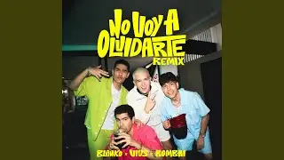NO VOY A OLVIDARTE (Remix)