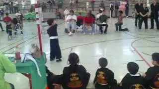 Shark lee shaolin staff