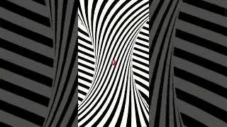 The Science Behind Optical Illusions: Why Do We See What We See?
