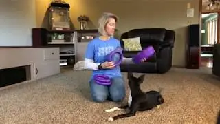 Puller - Dog Fitness Tool