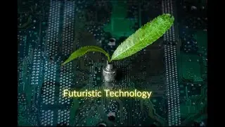 Meet the Team at Solarpunk Magazine
