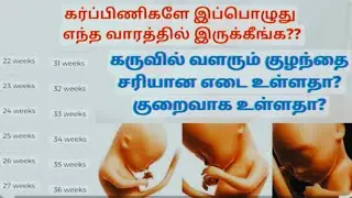 Baby weight chart during pregnancy in tamil/pregnancy #babyweight/pregnant women #