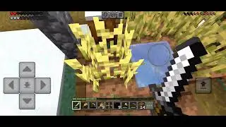 Minecraft gameplay (part 1)