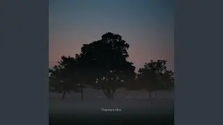 Phantom Mist
