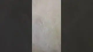 cimento queimado na cor Zapelim da #coral