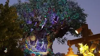 Disney's Most Underrated Park At NIGHT