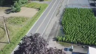 Morning drone flight