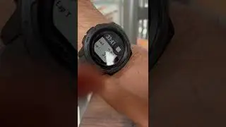 Oxo Rapid Brewer at the Pool - Short