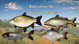 Akthuba river active spot | Farming | Chill Stream| Nanstein | Russian fishing 4
