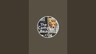 The Camp Beagle is live