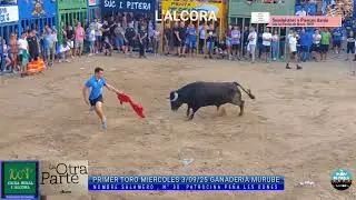 PRUEBA DE  TOROS MIERCOLES  3/09/25  L'ALCORA
