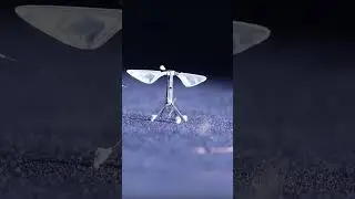 This robot is as tiny as a bee