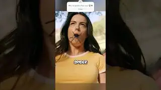 Никогда не трогайте пауков 😨😱 [Краткий обзор фильма] #короткометражные #вирусные #фильмы