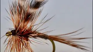 The Original Adam&rsquo;s Dry Fly! Size 12