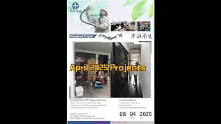 April 2025 Singapore Formaldehyde Removal Main Projects