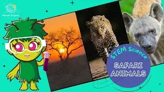 Safari Animals | Science for Kids | STEM Home Learning