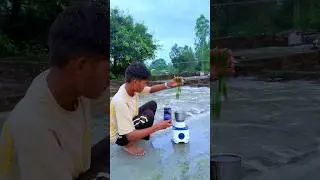 Creative green chilli amazing nature videography #automobile #magic #videography #nature #shorts