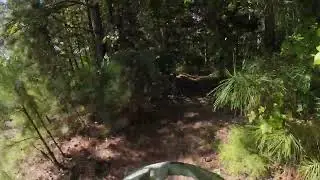 Atlanta MTB Trail, Atlanta, Texas - 08/15/24