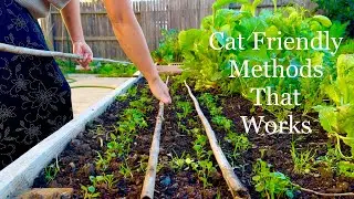 How to Keep Cats Out of Your Garden