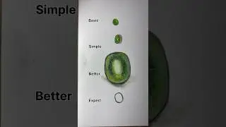 How to draw kiwi ? #art #drawing #painting #pendrawing #satisfying #easydrawing #tutorial
