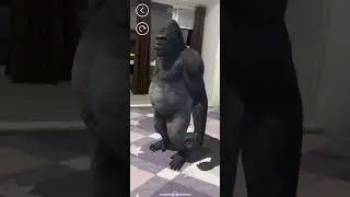 Unity AR Foundation Template - AR Animals - Downloadable