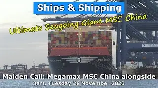 Ultimate Seagoing Giants: MSC China alongside at Felixstowe, 28 November 2023