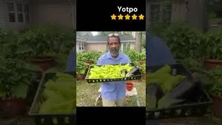 #garden #sustainability #survival #irrigation #gardeningtips #plantcare www.torpedopot.com