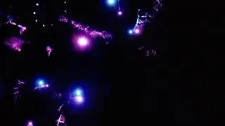 The Morton Arboretum Light Show Drone Flyover