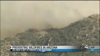 Reminders on how to prevent wildfires