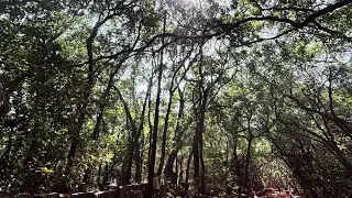 Matheran vlog | best place for family and couple trip in south india 