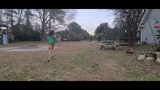 Chickens flying all sorts of ways